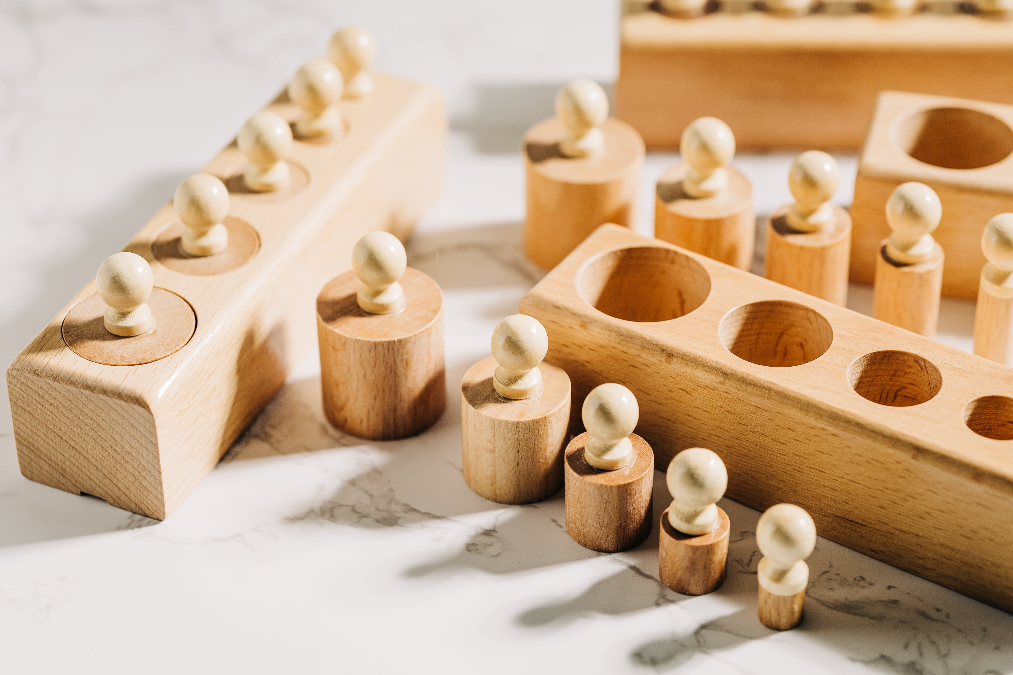 Montessori Toys - Cylinder Blocks Wooden Sorting Toy